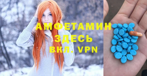 гидра Вязники