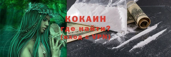 гидра Вязники