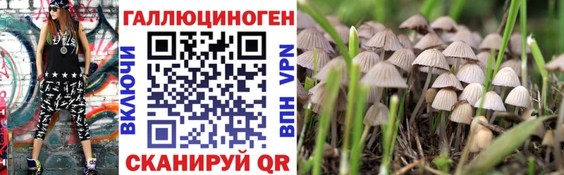 закладка  Каргат  Галлюциногенные грибы ЛСД 
